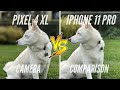 Google Pixel 4 XL vs iPhone 11 Pro Camera Comparison