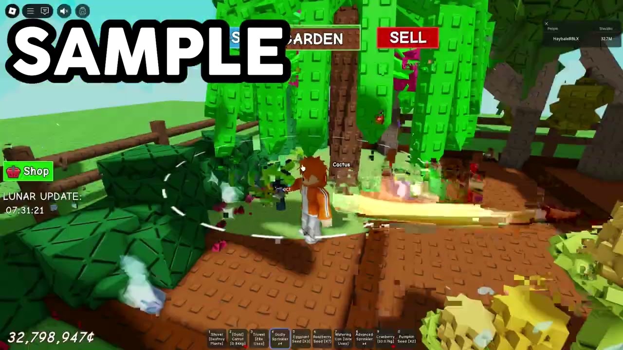 Roblox Edit