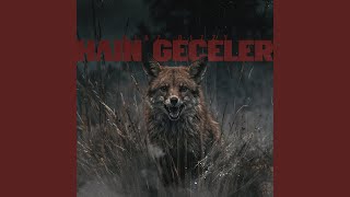 Hain Geceler