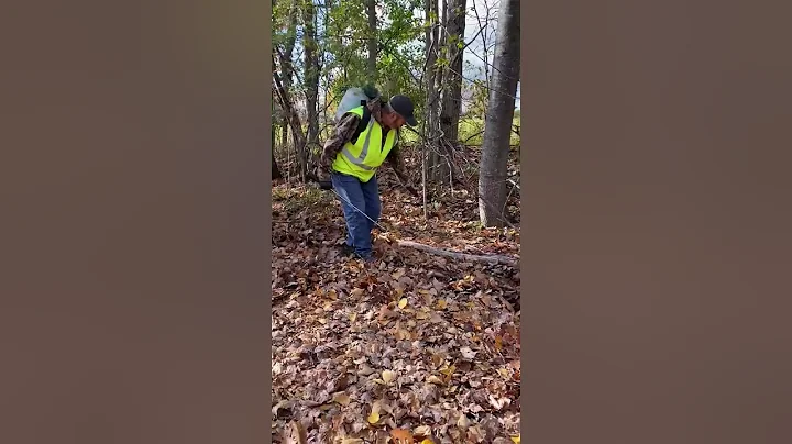 Late Season Basal Bark Application
