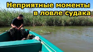 Неприятные моменты в ловле судака на главном банке | Рыбалка в Мумре