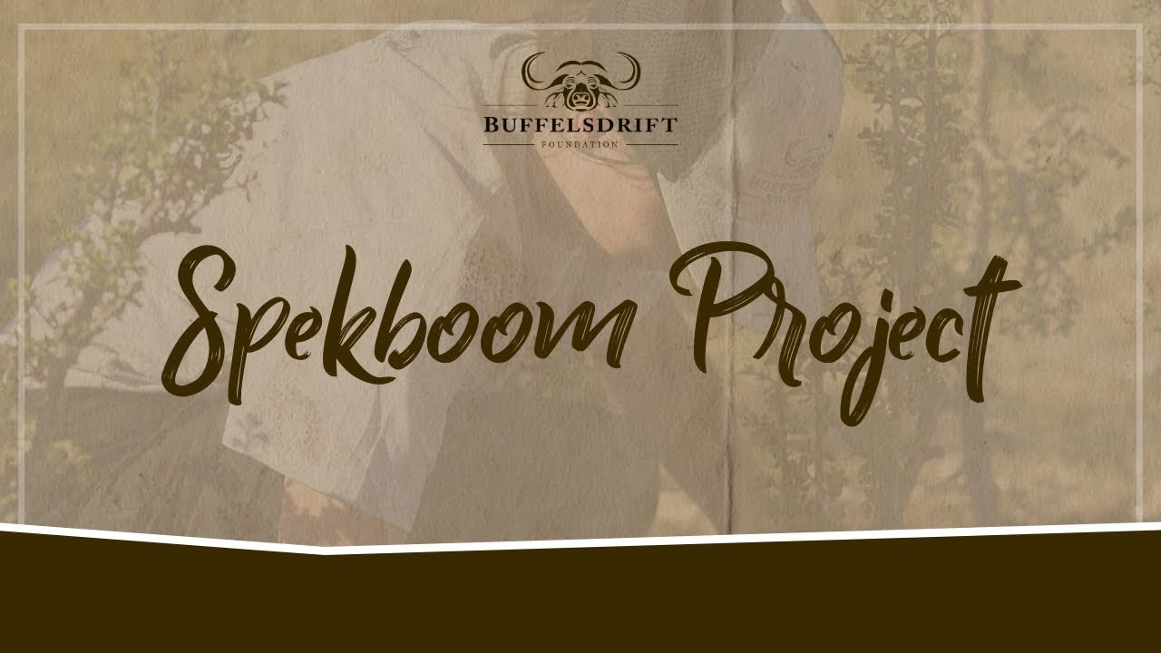 The Spekboom Project | Growing Hope
