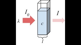 Molar Extinction Coefficient: calculation in Spectrophotometer (Wilson Walker)