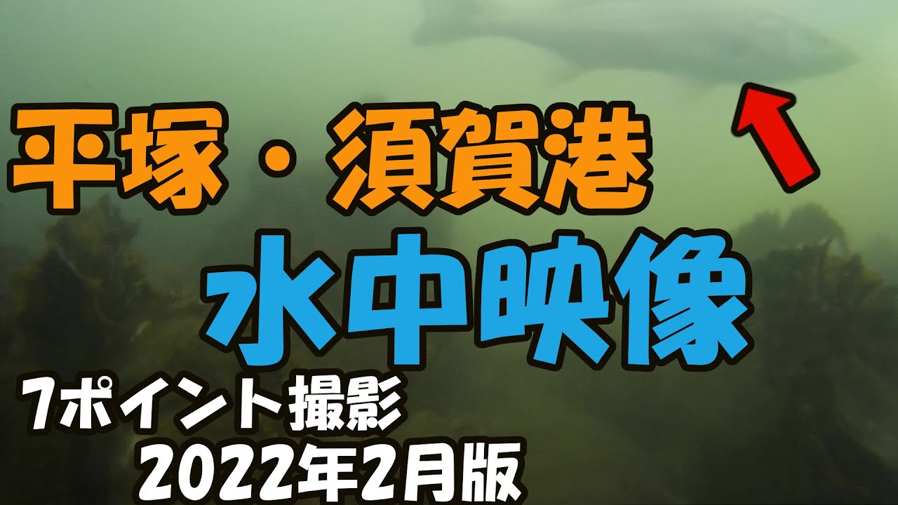平塚・須賀港　水中映像　2022年2月版　釣り方、根掛かり対策に