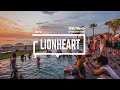 Energetic EDM Festival By Infraction 聽 No Copyright Music Lionheart Energetic EDM Festival By Infraction 聽 No Copyright Music Lionheart