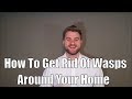 How To Get Rid Of Wasps Around Your Home