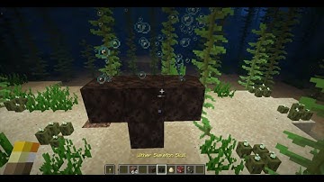 What if you create a wither in water