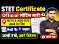 STET CERTIFICATE 2026 | STET Certificate Distribution in Patna And Other State | Official Update 