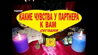 КАКИЕ ЧУВСТВА У ПАТНЕРА К ВАМ СЕГОДНЯ