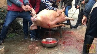 Chinese Traditional Pig Slaughtermaster Level 中国乡村大师级杀猪