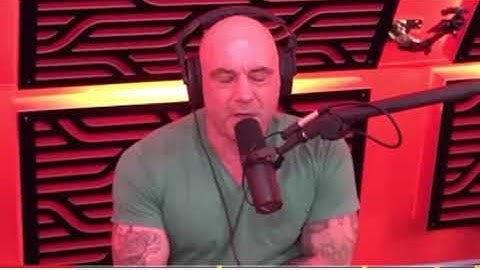 The fibonacci sequence