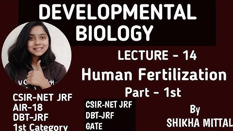 HUMAN FERTILIZATION - DEVELOPMENTAL BIOLOGY CSIR-NET JRF LIFESCIENCE