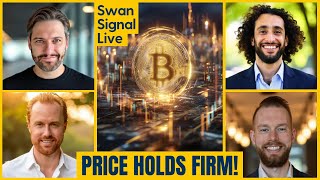 Whale Dumps 70,000 Bitcoin and the Price Barely Moves?