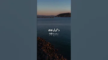 تستاهلي تتحبي بجد 