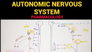 Autonomic Pharmacology - 1 | Sympathetic & Parasympathetic Nervous System | EOMS