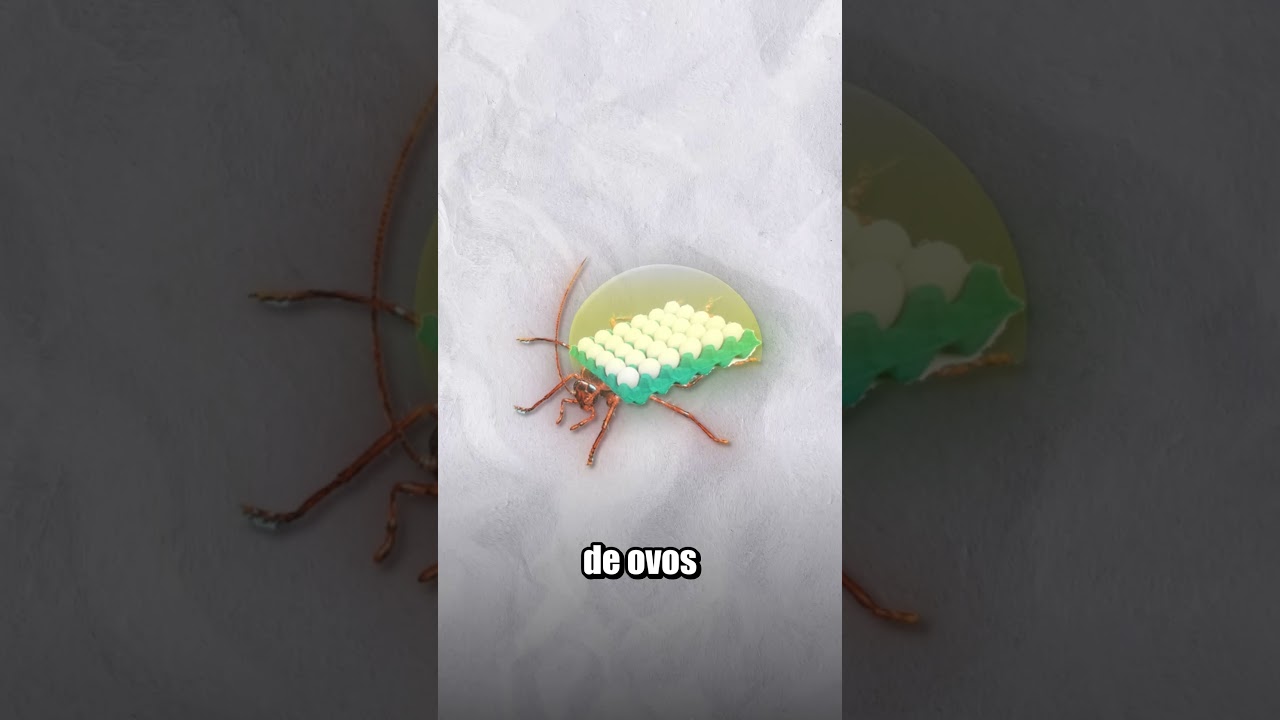 NUNCA FAÇA ISSO AO VER UMA BARATA!