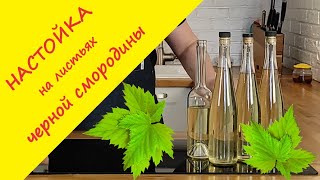 Ароматная настойка на смородиновом листе