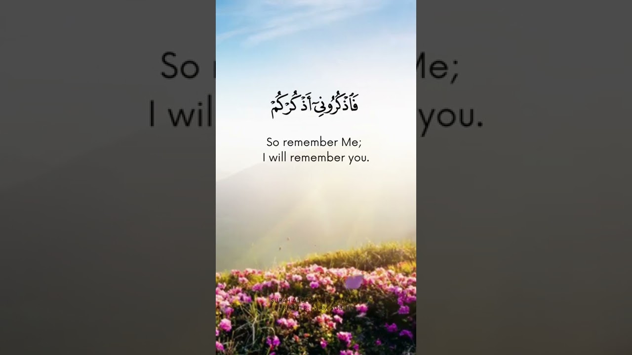 5 Things To Do Immediately About Find the Best Online Casino Bonuses and Promotions for 2024 – Claim Yours Now! 10 Things I Wish I Knew About Find the Best Online Casino Bonuses and Promotions for 2024 – Claim Yours Now!