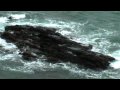 Them - The Cranberries