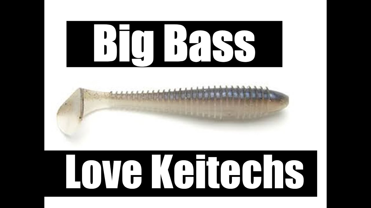 Keitech Swimbait Catches Big Bass