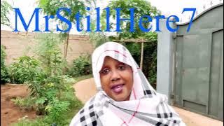 QAYLO DHAAN WAAWAREEY WIILKA MAMA MALYUN NINKA ISKU DAYEY INUU DULMO MUXUU FILANAYEY BOM