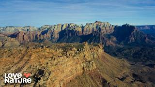 Zion National Park: Epic Rock Battles & Hidden Canyons | Undiscovered Vistas 104