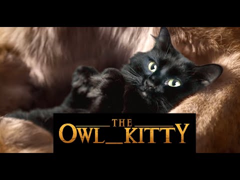 The Lion King - Starring my cat OwlKitty