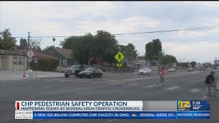 CHP pedestrian safety operation