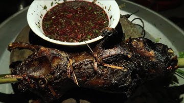 Dúi Quay, Pịa Dúi, Tiết Canh Dúi, Đặc Sản Rừng Tây Bắc/Hoàng Việt Tây Bắc