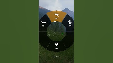 Pointer Flushes Turkey 🦃 #thehuntercallofthewild #thehuntercotw #cotw #shorts #gaming