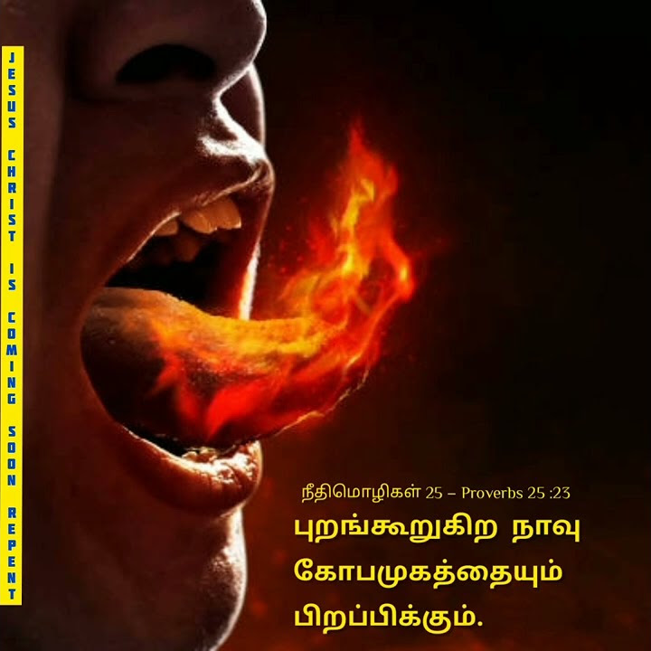 proverbs-25-23-bible