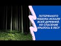 Потерянного ребенка искали всей деревней, но спасение крылось в лесу. Истории из жизни.