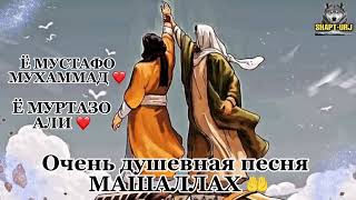 Ё МУСТАФО МУХАММАД 🤲 Ё МУРТАЗО АЛИ .ОЧЕНЬ ДУШЕВНАЯ ПЕСНЯ