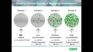 Foundational: Counting in ddPCR