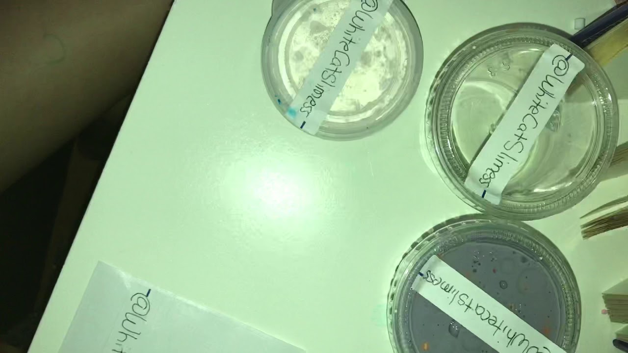 Organizing my slime collection!