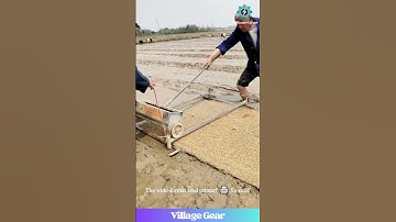 That Rice-Planting-Thingy is Next Level GENIUS! 😂 Farmer Upgrades His Planting Game! #rice #farming