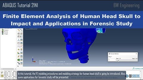 ABAQUS tutorial | Finite Element Analysis of Human Head Skull to Impact for Forensic Practice