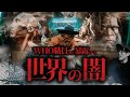 元WHO職員が暴露する世界の闇とは？！（神回）