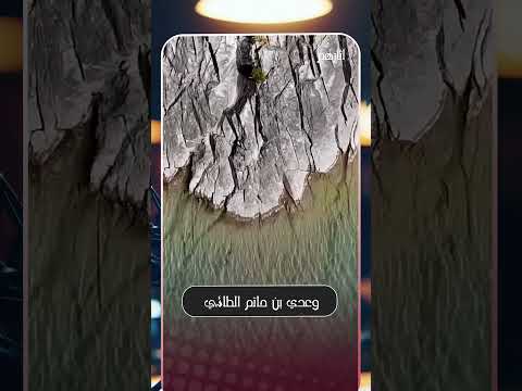 أنظر إلى سبب إسلام عدي بن حاتم الشيخ سعد العتيق