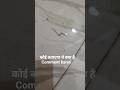 कोई बताएगा ये क्या है?#animal#viral#trendingshorts #viral songs