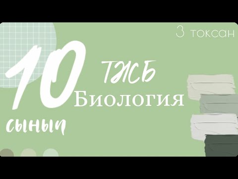 Бейне: Австралопитектердің бір-біріне қарама-қарсы саусақтары болды ма?