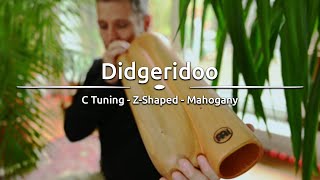 Meinl Sonic Energy - Z-Shaped Pro Didgeridoo, Tuning C, DDPROFZC, played by Tayfun Schulzke