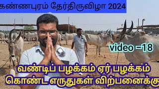 கண்ணபுரம் தேர்திருவிழா 2024/வண்டிப்பழக்கம் உழவுப்பழக்கம் கொண்ட எருதுகள் விற்பனைக்கு #cow #bull