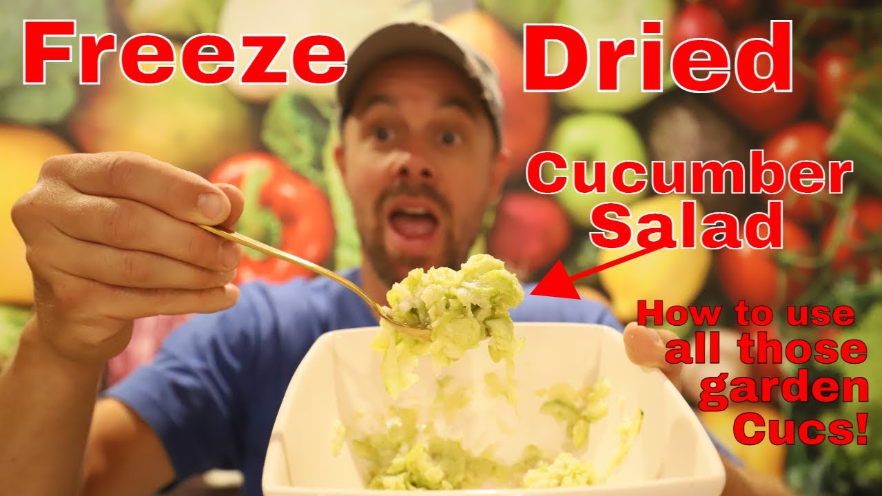 Freeze Dried Cucumber Salad How to Use Up Your Garden Cucumbers