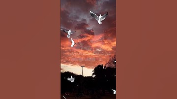 سورة هود الاية 41-44 _sourat houd vers