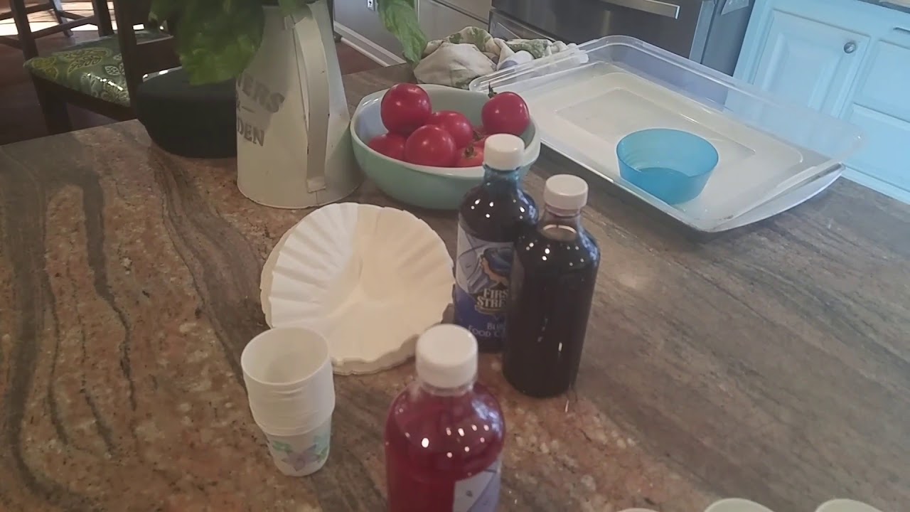 Coffee filter food dye project YouTube