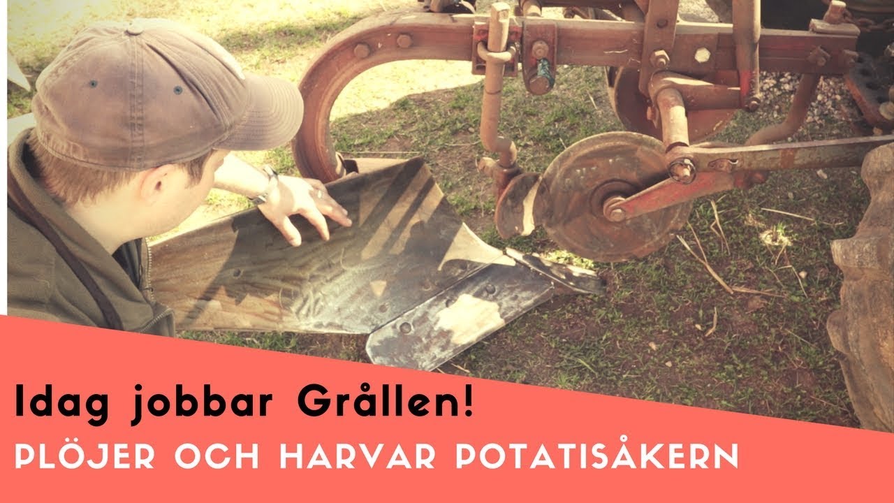 Plöjer och harvar potsatisåkern!