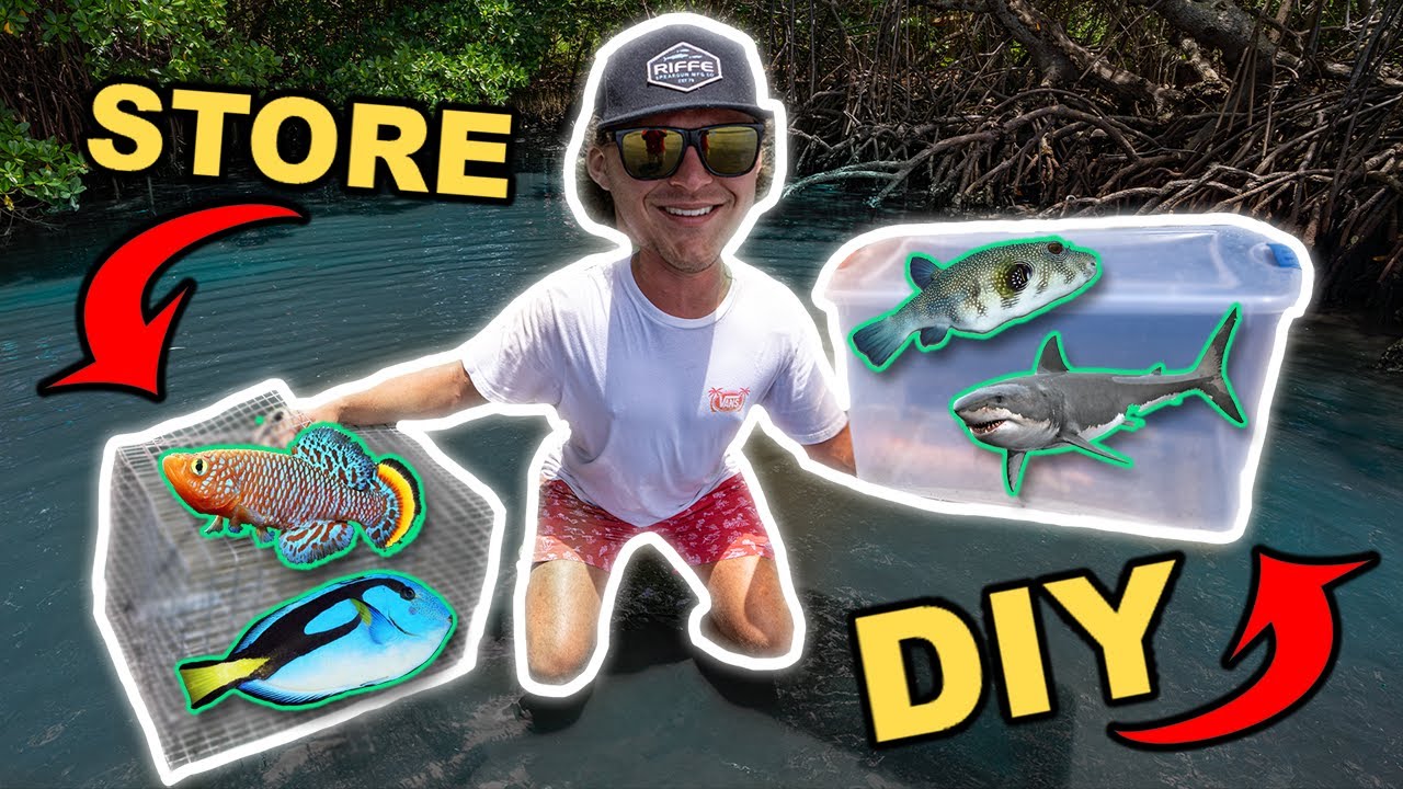 MAKING a HOMEMADE SALTWATER Fish Trap!! (SURPRISING CATCH!) 