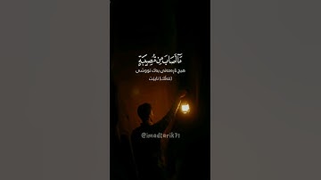 سورة التغابن | الآية 11-12 | القارئ | ياسر الدوسري | #quran #صلوا_على_النبي
