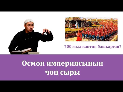 Video: Уктап жаткан мышыктардын 20 сүрөтү, алар эң сүйкүмдүү үй жаныбарлары экенине эч кандай шек келтирбейт